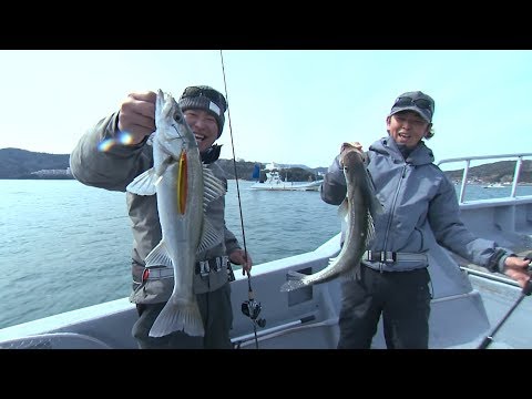【いつでも釣り気分！】#245 フォールで喰わせる！鳥羽沖のライトジギング