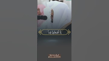 اكتب شئ تؤجر عليه 🤍🕊 تلاوة خاشعة تلاوة تُلامس القلوب #ياسر_الدوسري #اكسبلور  @osa_ma20301