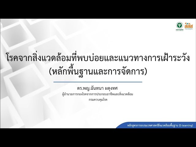 2. โรคจากสิ่งแวดล้อมที่พบบ่อยและแนวทางการเฝ้าระวัง (หลักพื้นฐานและการจัดการ)