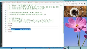 [웹 프론트엔드 코스]CSS강의23 - 공간분할태그와 display속성