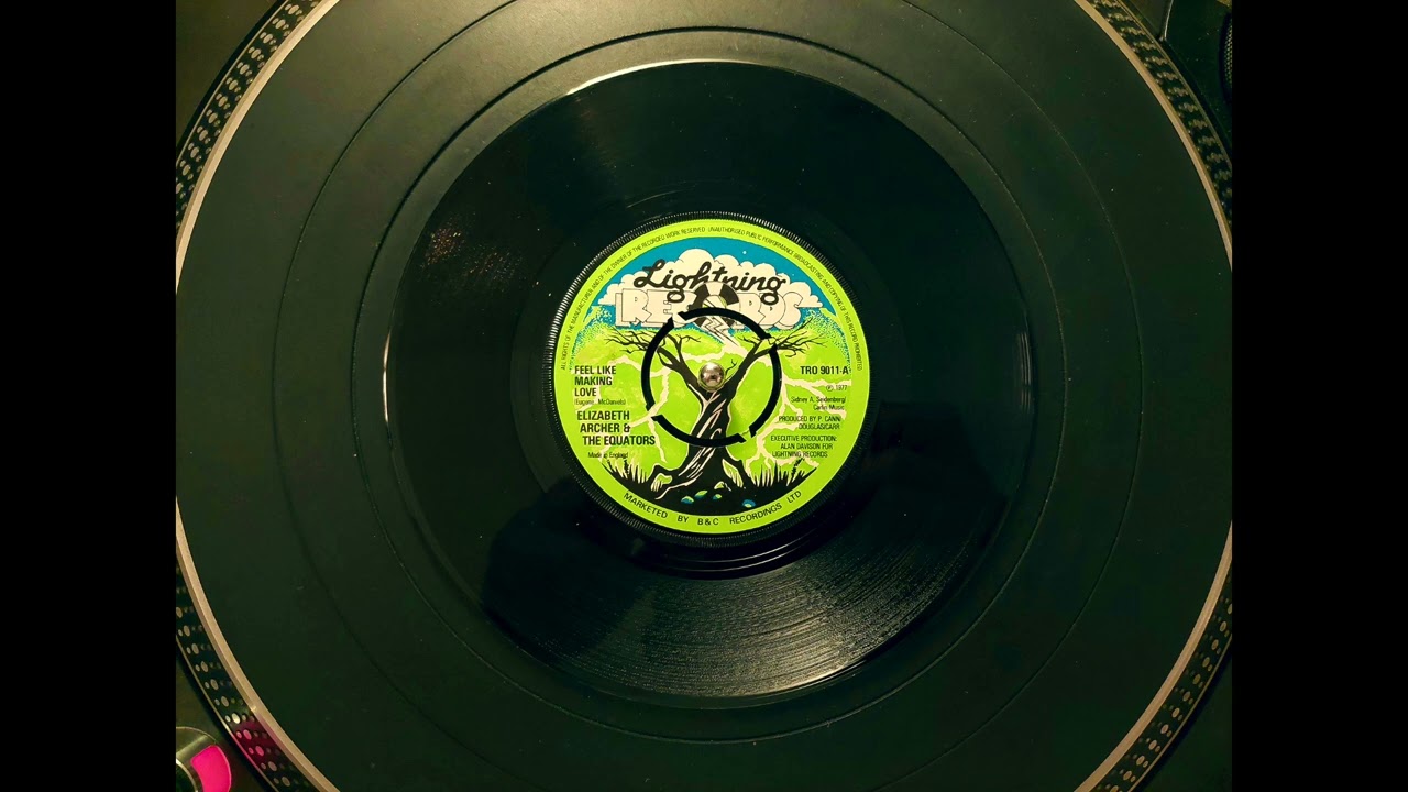 Elizabeth Archer & The Equators - Feel Like Making Love