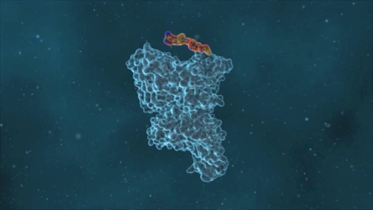 YouTube image