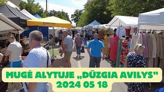 Mugė „Dūzgia avilys' Alytuje 2024 05 18