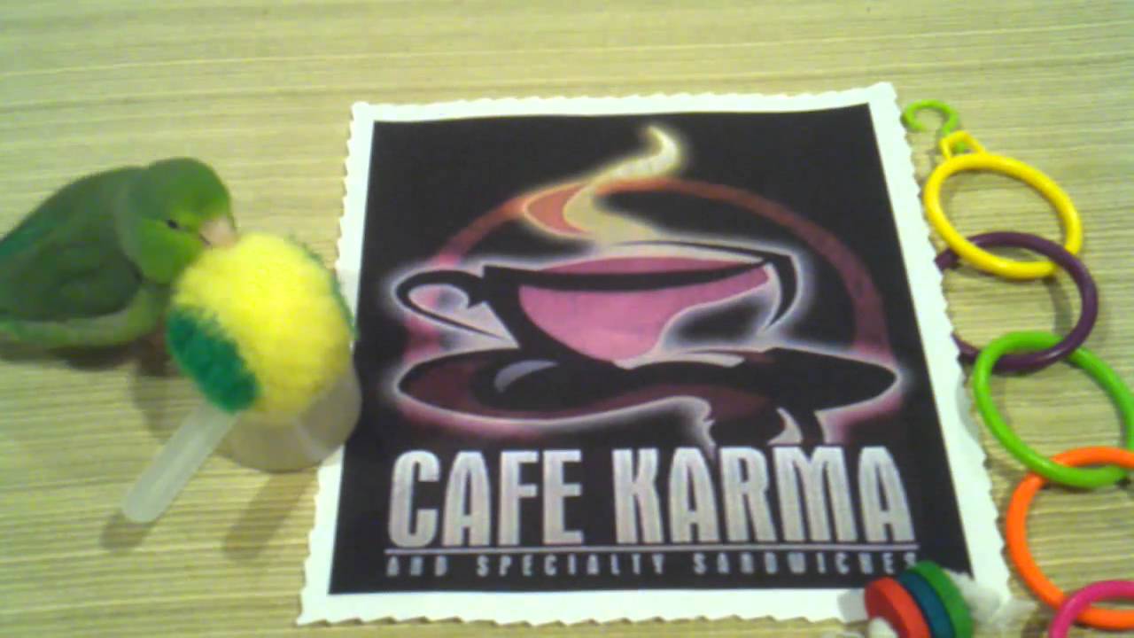 Pickle Video - Cafe Karma