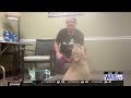 Central Aroostook Humane Society: Meet Toby!