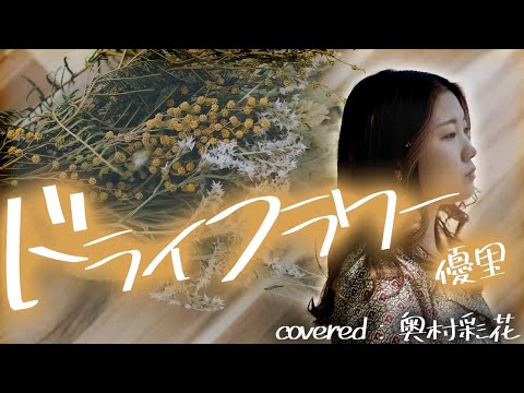 【奥村彩花】ドライフラワー / 優里（cover）