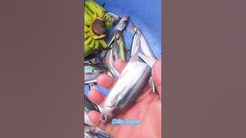 #Shorts / Câu cá dứa cá xác sọc mồi này nó khoái lắm miền tây sông nước #KiềmRapper