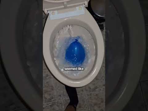 Man Blocks Toilet For His Fish