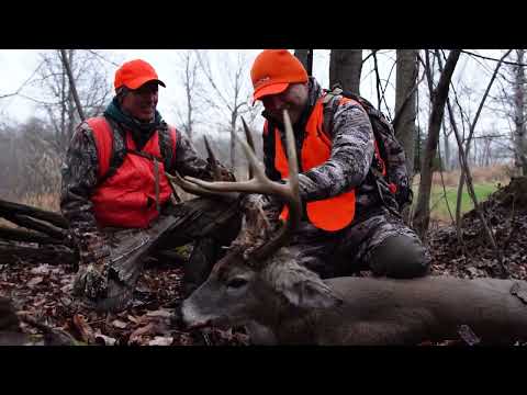 Big Kentucky Bucks