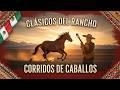 Clásicos del Rancho 🐎  Corridos de Caballos que Definen la Música Mexicana