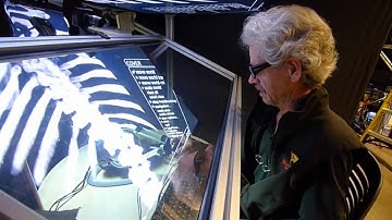 Heads-Up Virtual Reality (HUVR) Bridges Visual with Tactile, in 3D and on the Cheap