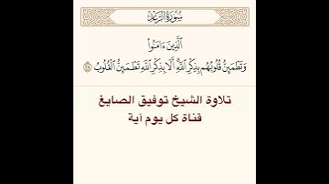 #تلاوة #الشيخ توفيق الصايغ من سورة الرعد