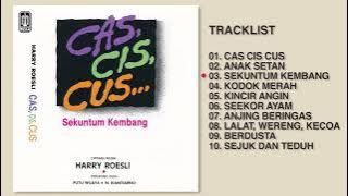 Harry Roesli - Album Cas Cis Cus | Audio HQ