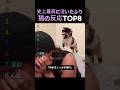 史上最高に泣いたふり猫の反応TOP8