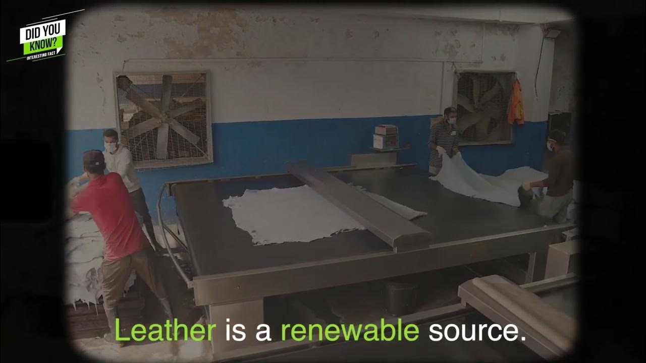 Leather is a renewable source KTM Multan YouTube
