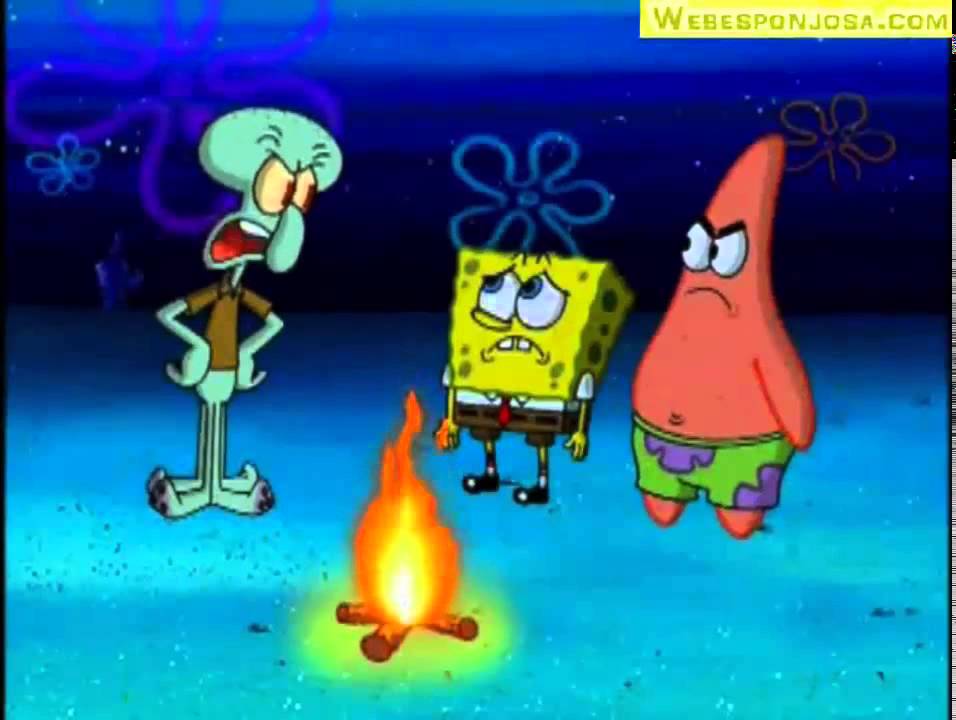 tal vez sea estupido, pero tambien es tonto - YouTube