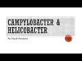 Campylobacter & Helicobacter-DMP