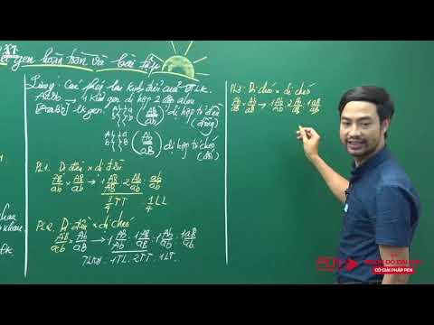 Video Liên kết gen hoàn toàn và bài tập - Sinh học 12 - Thầy... - youtube