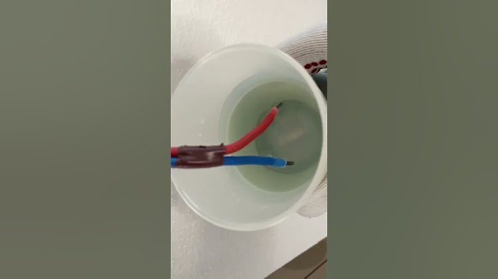 Phase Neutre 230V dans l'eau - Électricité