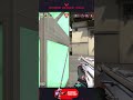 skywhywalker -4