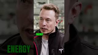 Elon's Wisdom