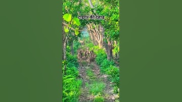 Thumbnail of #nature #uttrakandi #song #travel #trending #trend #mountains #funny