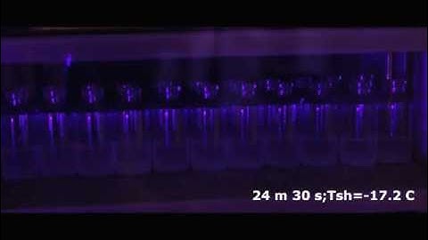 Controlled Nucleation (FreezeBooster Technology, Millrock Tech.): 5% Sucrose (Lyo Lab, Purdue)