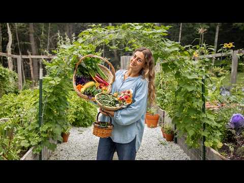 I Grew All Of My Own Produce (full Garden Tour)