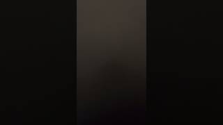 a few pepper sneezes (f)