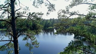 The Texas Bucket List - Davy Crockett National Forest