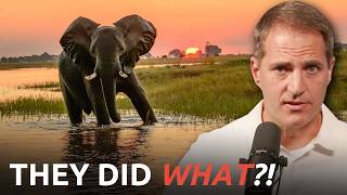 Elephants Just STUNNED Scientists, but We’re Not Surprised