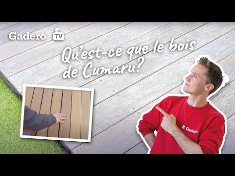 Vidéo: Qu'est-ce qu'une terrasse Kame ?