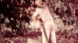 Mexican Agriculture, 1960's - Film 7619