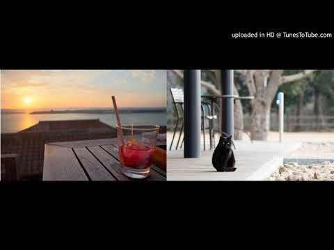 静かなるメロディー ／ 大野愛果