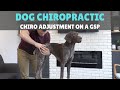 Dog Chiropractic Adjustment