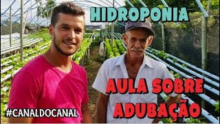Adubos para HIDROPONIA todos e suas funcoes