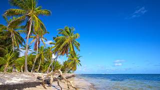 Energy Morning Jazz At Tropical Beach - Bossa Nova Melodies & Relaxing Ocean Waves For A Fresh Day