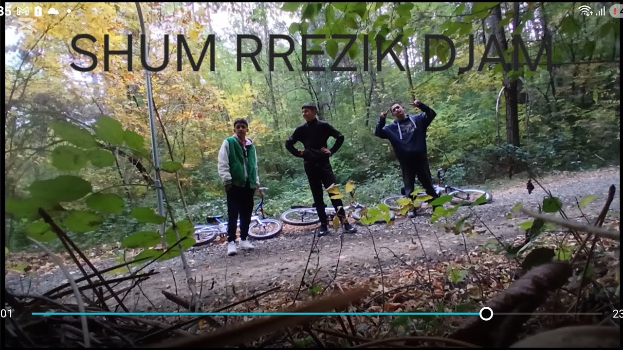 Rrezik shum djem 👑🦁