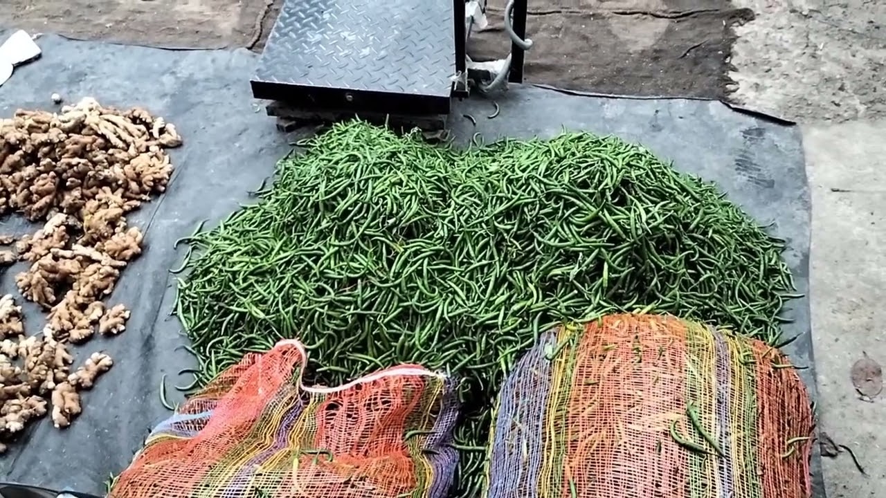 @आज अदरक हरी मिर्च@# पत्ता गोभी@ खीरा अरबी@₹today price viral video 🙏🌹 05/07/24