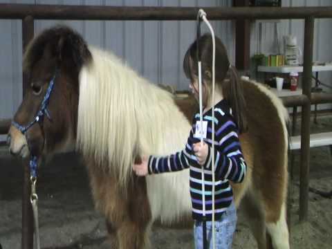 Natural Horsemanship Program for Children with Aut...