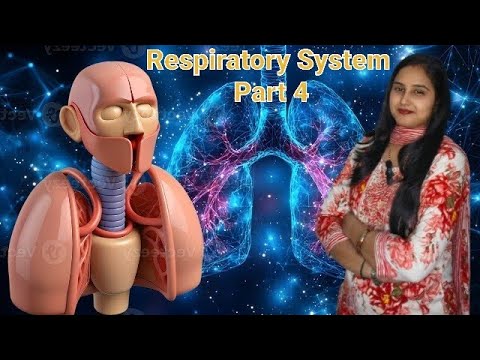Life Processes | Respiratory System | Class 10 | Part 4 | NEET | NCERT ...