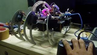 hexa spider robot testing