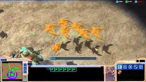 Queen and Guardian Animations