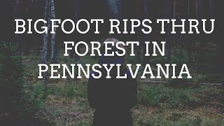 All New Bigfoot Excursion Pennsylvania 🙉 S1 E1