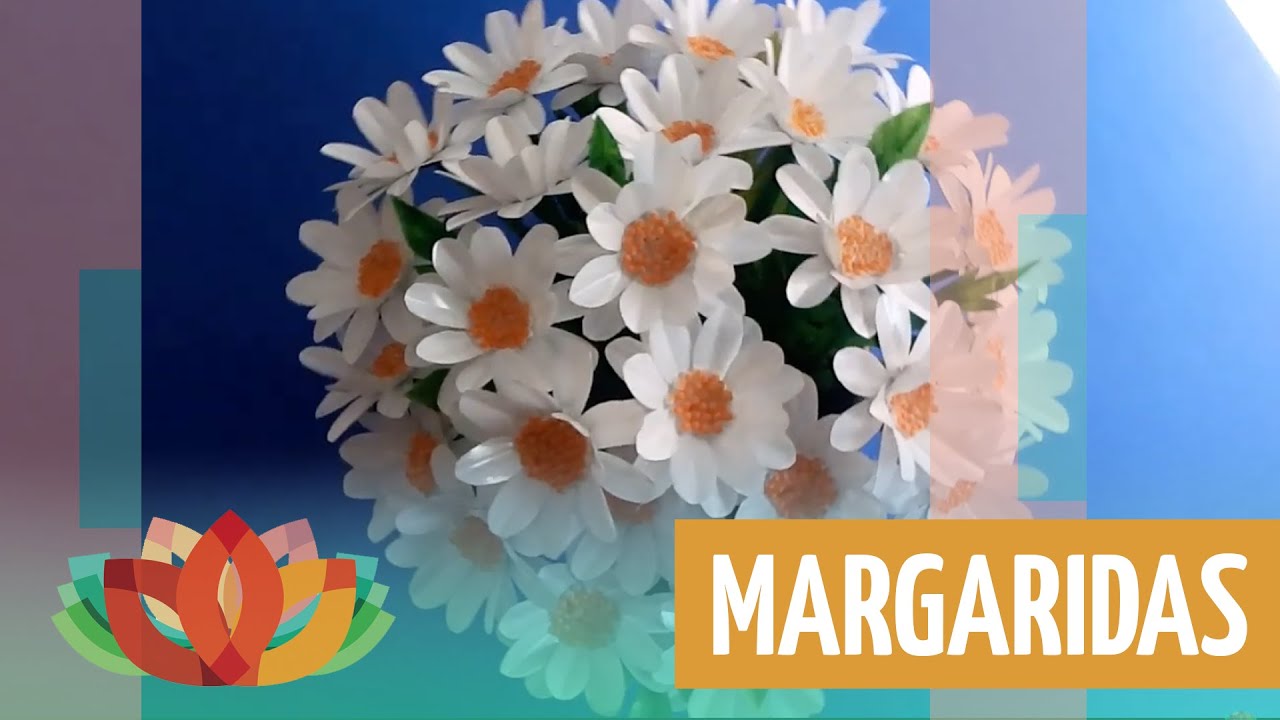 Margaridas brancas