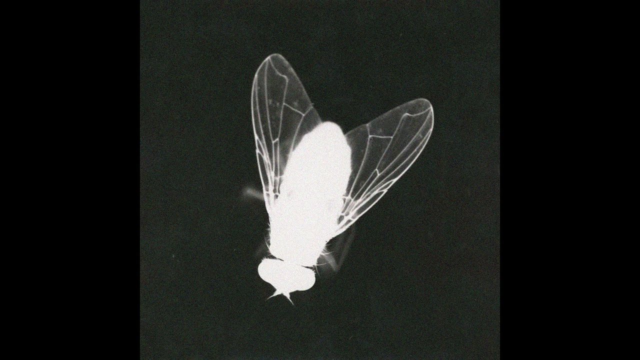 [FREE] ASAP ROCKY X SCHOOLBOY Q X ASAP FERG TYPE BEAT - 