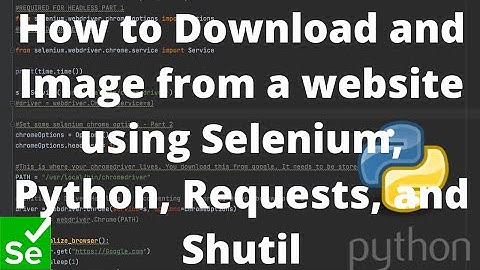 How to Download and Image from a website using Selenium, Python, Requests, and Shutil