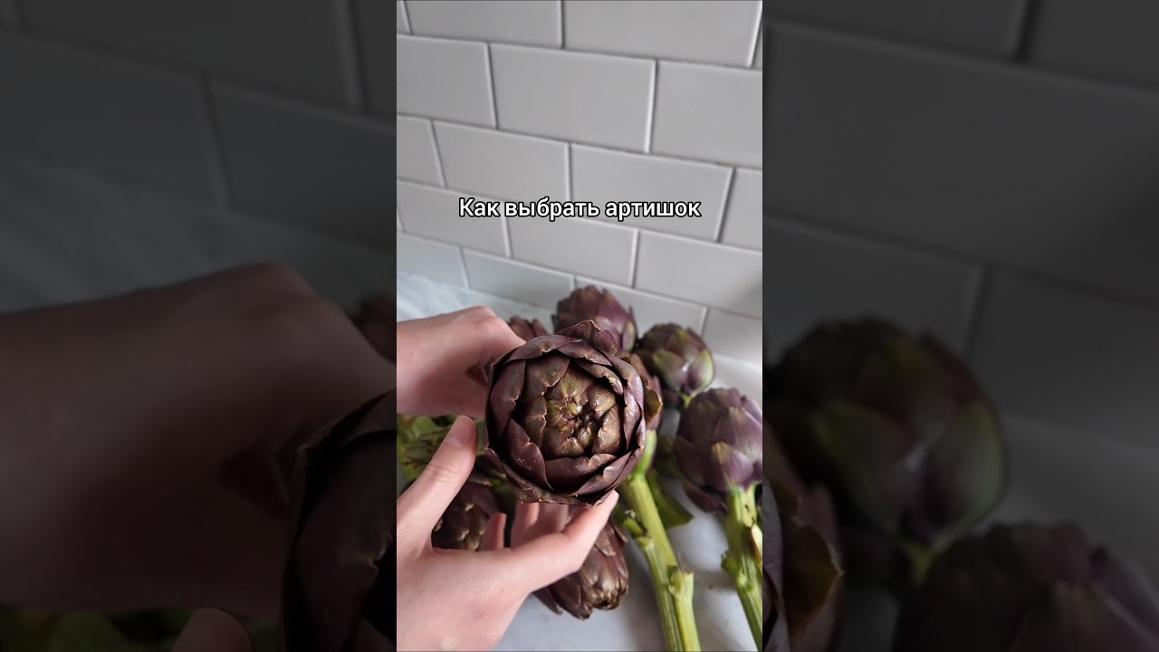 Как выбрать артишок 