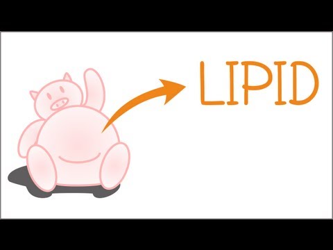 Video: Apa Itu Lipid?