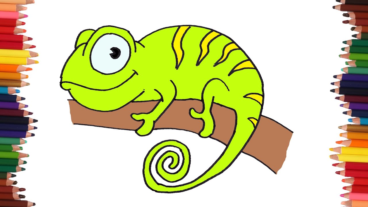 Como dibujar un camaleón paso a paso y MUY FACIL - Dibujos para Colorear -  YouTube